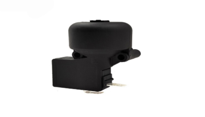 16A 125/250VAC Micro Swith